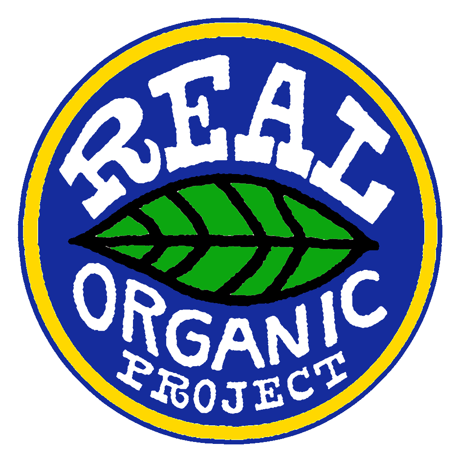 Projecta logo, icon version, on a transparent background