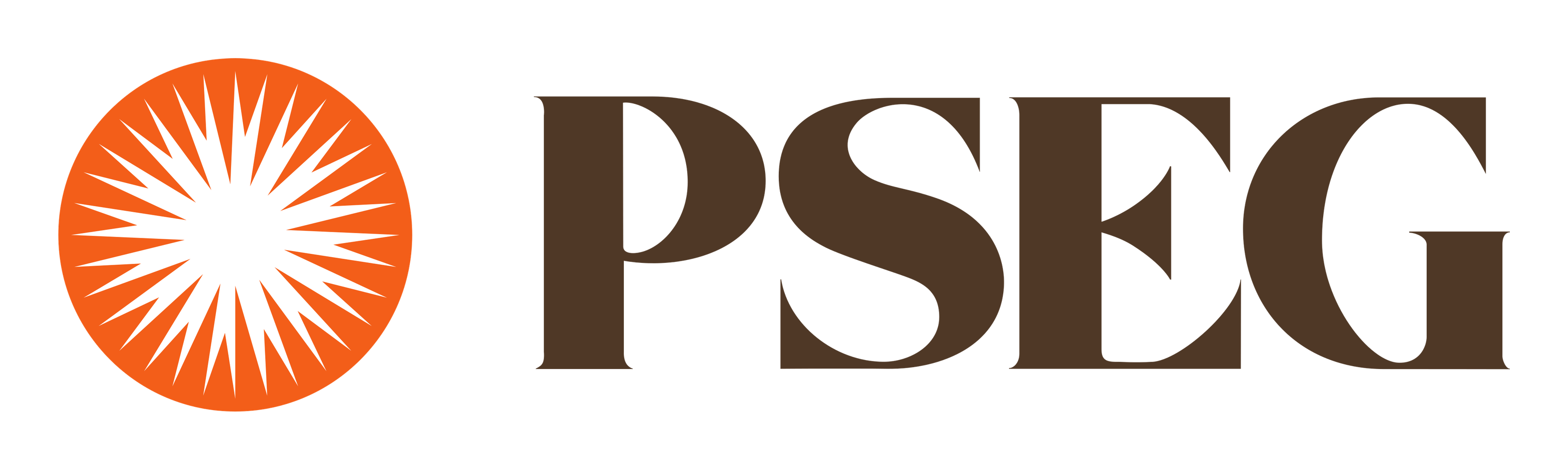 Pseg Logo auf transparentem Hintergrund