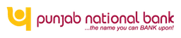 Punjab National Bank logo, wordmark version, on a transparent background