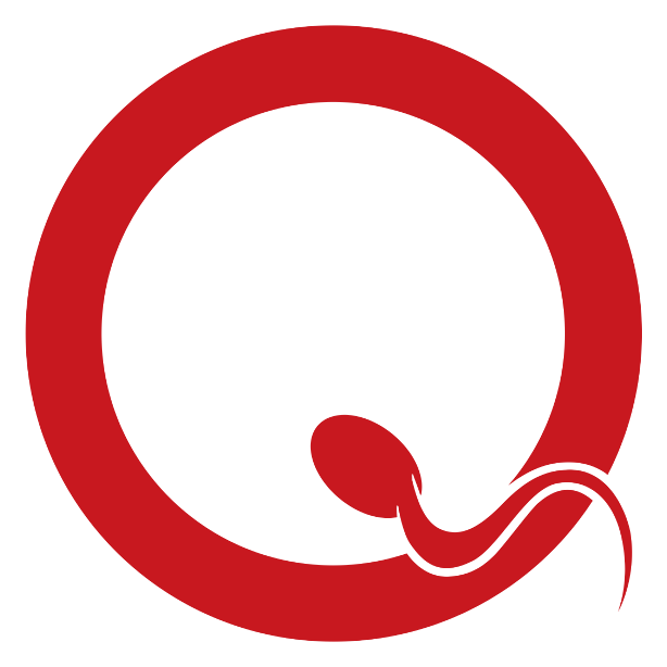 Queens of the Stone Age logo on a transparent background