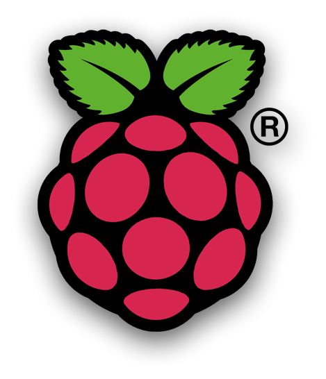 Logo da Raspberry Pi, versão ícone, em fundo transparente