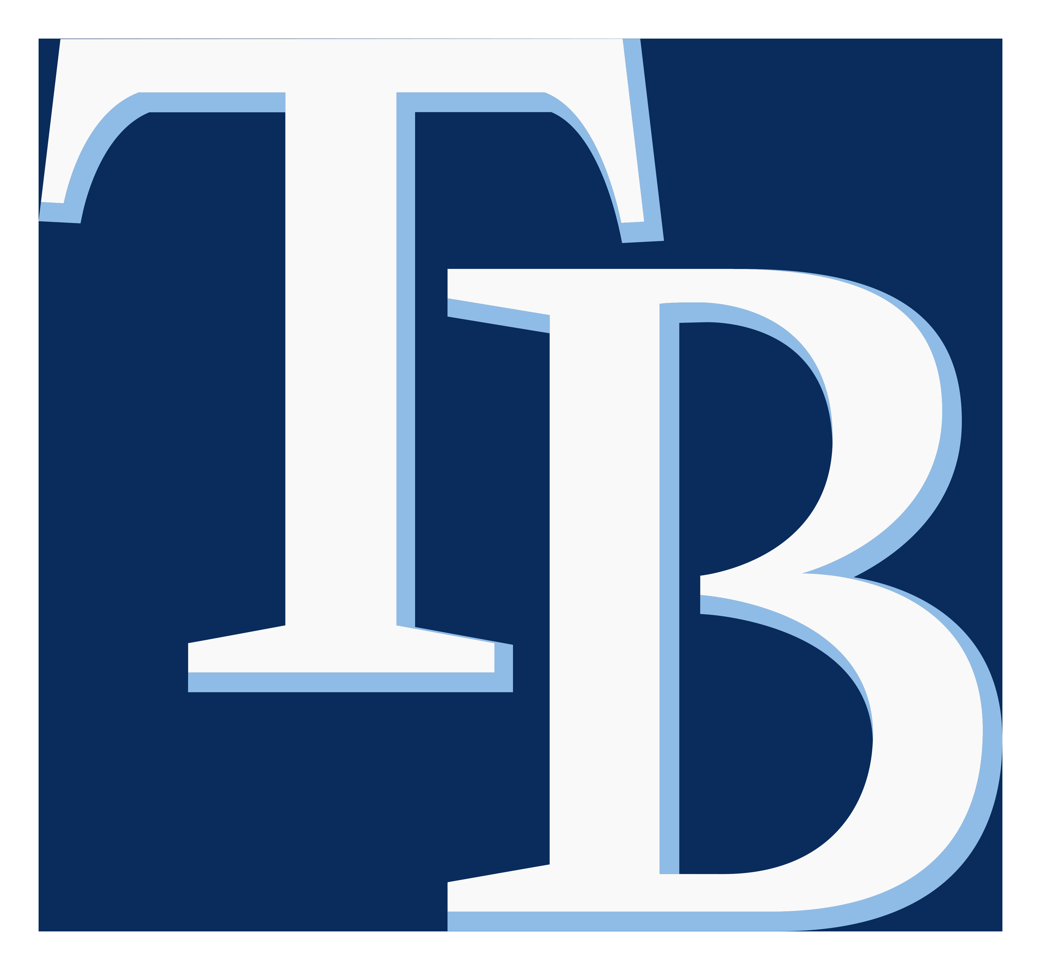Rays logo on a transparent background
