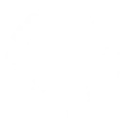 Red Hot Chili Peppers logo, white icon version, on a transparent background