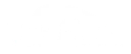 Red Robin logo, white wordmark version, on a transparent background