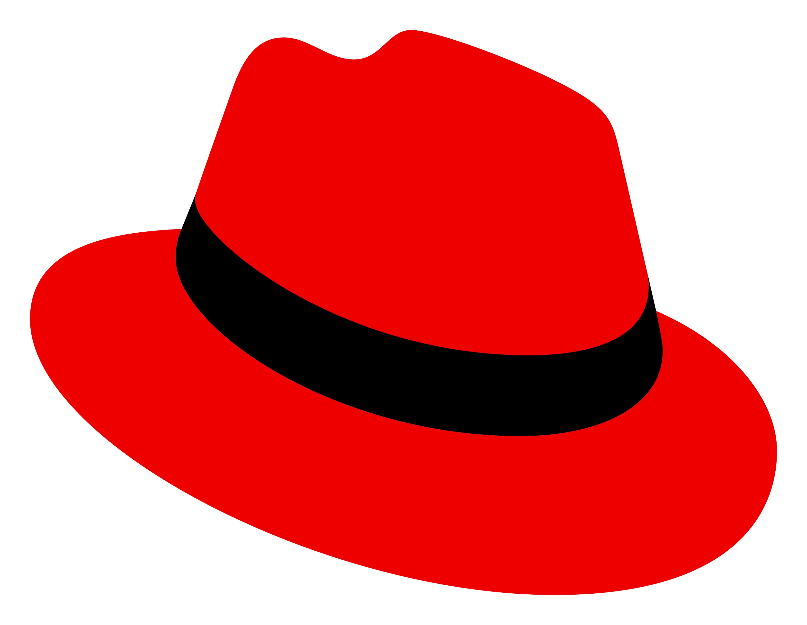 Redhat logo on a transparent background