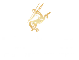 Remy Martin logo, horizontal version, on a transparent background