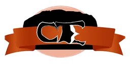 Renato Angi logo, horizontal version, on a transparent background