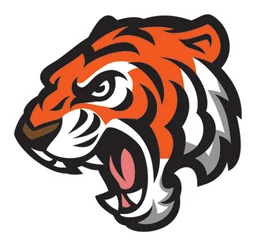 Rma of Texas logo, icon version, on a transparent background