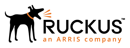 Ruckus Wireless logo on a transparent background