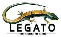 Salamander logo, horizontal version, on a transparent background