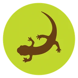 Salamander logo, icon version, on a transparent background