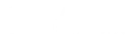 Sally Hansen logo, white wordmark version, on a transparent background
