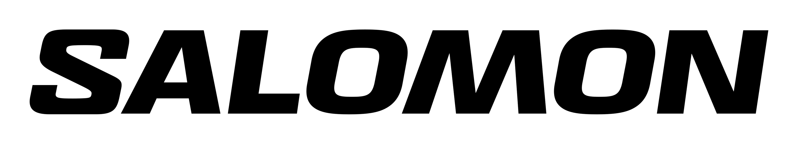 Salomon Sports logo on a transparent background