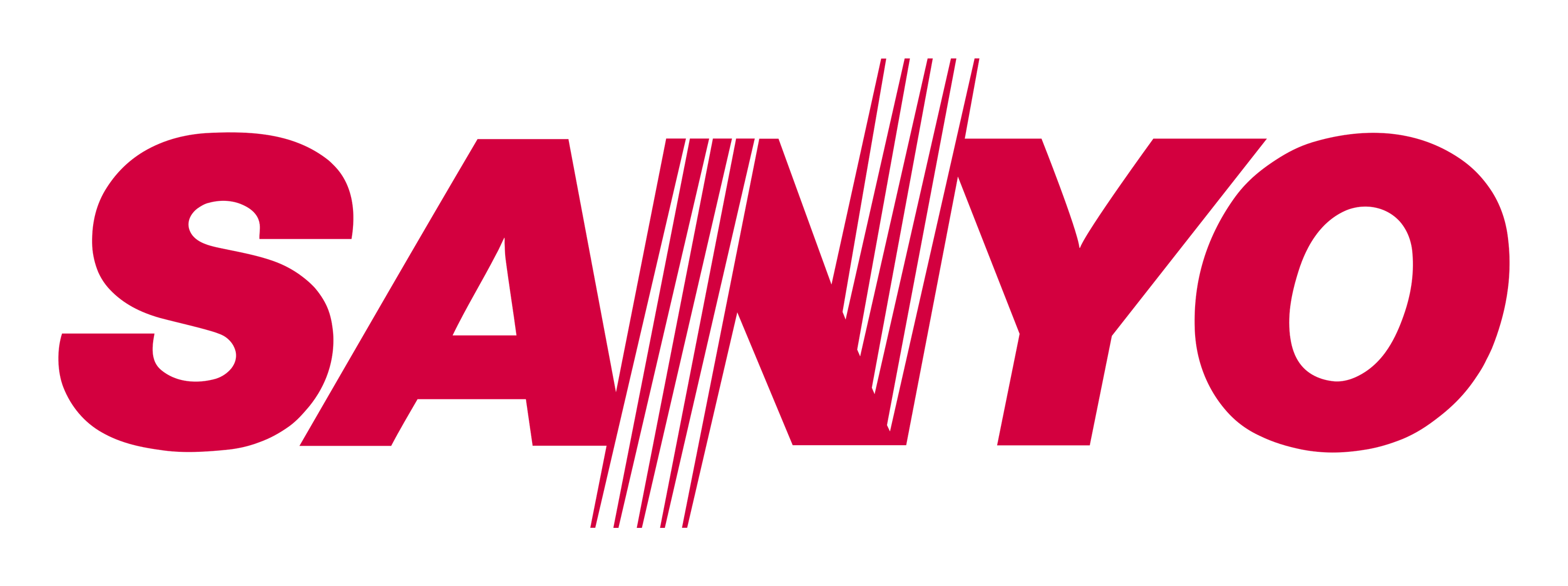 Sany logo on a transparent background