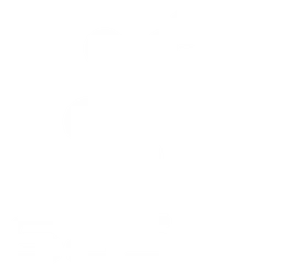 Sasol logo, white icon version, on a transparent background