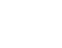 Sass logo, white version, on a transparent background