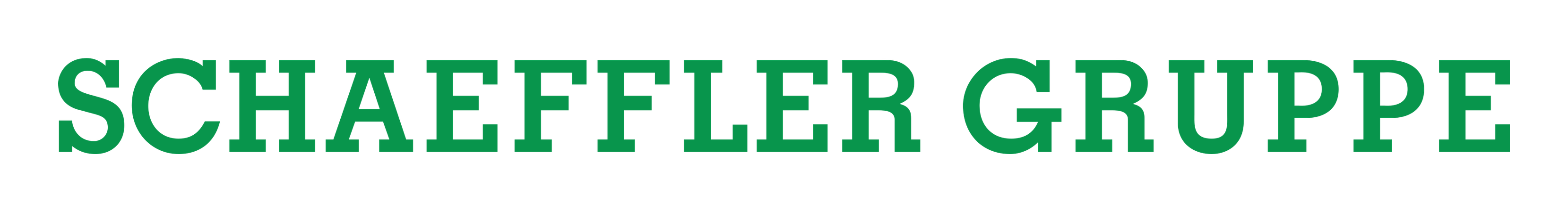 Schaeffler logo on a transparent background