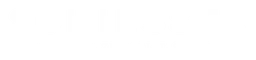 Schiesser logo, white wordmark version, on a transparent background