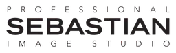 Sebastian Professional logo, black wordmark version, on a transparent background