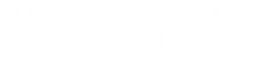 Sebastian Professional logo, white wordmark version, on a transparent background