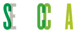 Secca logo, horizontal version, on a transparent background