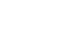 Seiko logo, white version, on a transparent background