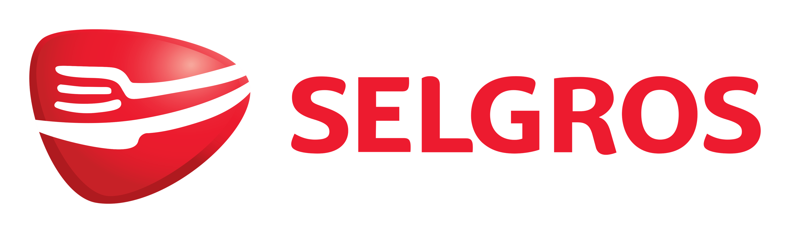 Selgros logo on a transparent background