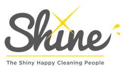 Shine Group logo, horizontal version, on a transparent background