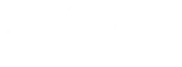 Shinee logo, white wordmark version, on a transparent background