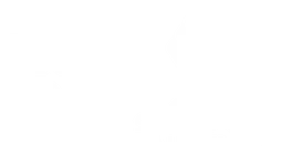 Silkair logo, white version, on a transparent background