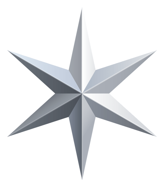 Logo de Silver Star, versión icono monocromo, sobre fondo transparente