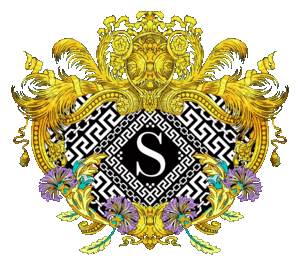 Silvian Heach logo on a transparent background