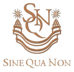 Sinequanon logo, icon version, on a transparent background