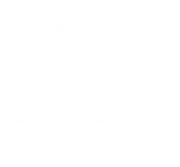 Skagen logo, white icon version, on a transparent background