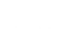 Skagen logo, white wordmark version, on a transparent background