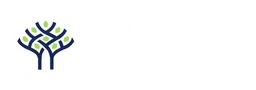 Solvex logo, white wordmark version, on a transparent background