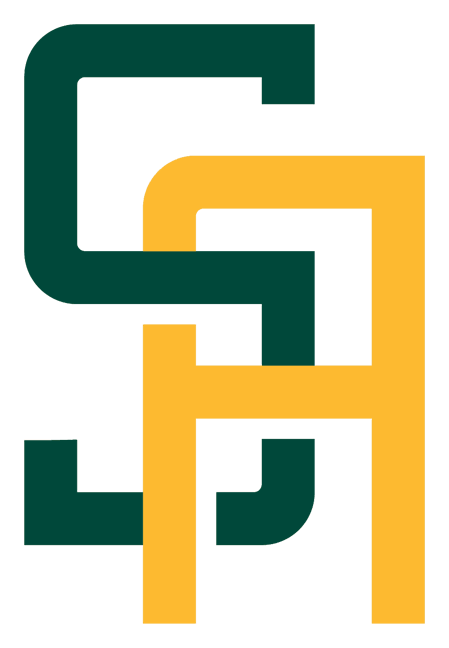 South Africa logo, horizontal version, on a transparent background