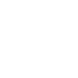 Spacex logo, white icon version, on a transparent background