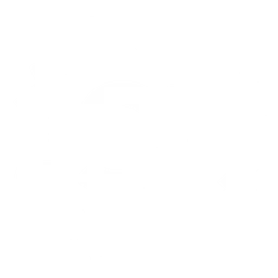 Spankchain logo, white icon version, on a transparent background