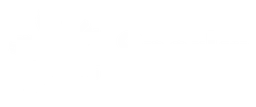 Spark NZ Logo, Variante Wortmarke weiß, auf transparentem Hintergrund