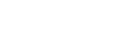 Spirit Airlines logo, white wordmark version, on a transparent background