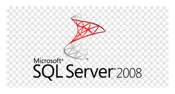 SQL Server logo, white version, on a transparent background