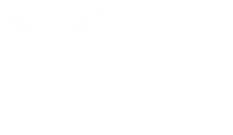 SSR logo, white version, on a transparent background