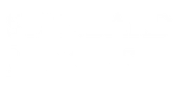 Standard and Poors logo, white version, on a transparent background