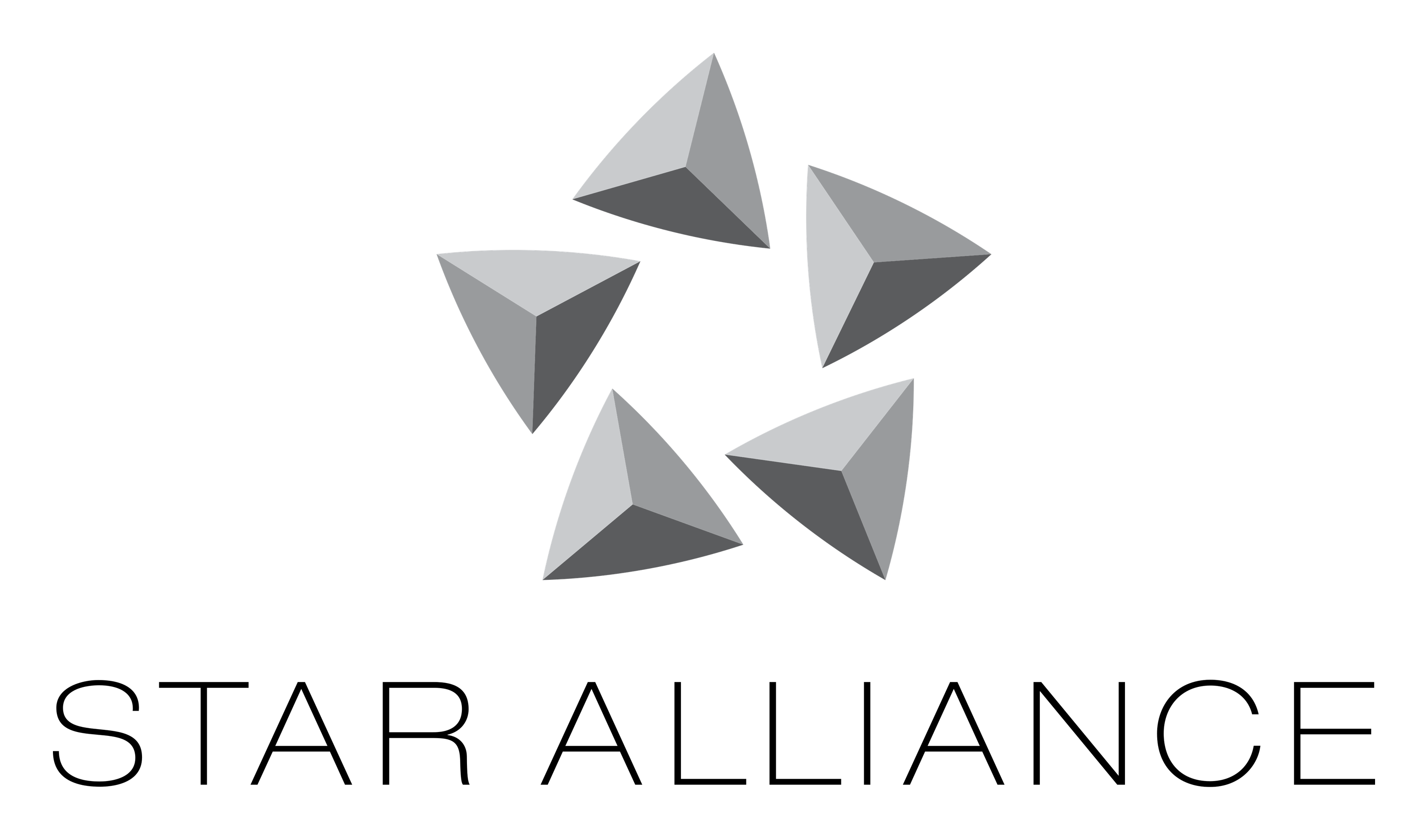 Star Alliance logo on a transparent background