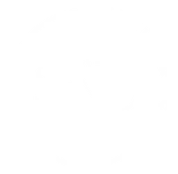 Stella and Dot logo, white icon version, on a transparent background