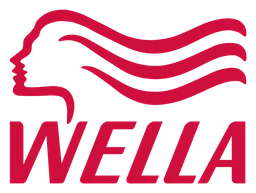 Stroher logo, horizontal version, on a transparent background