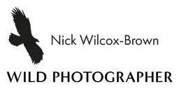 Swarovski Optik logo