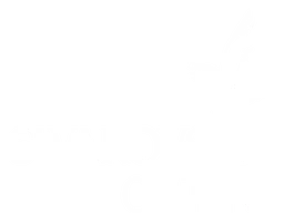 Swarovski Optik logo, white version, on a transparent background