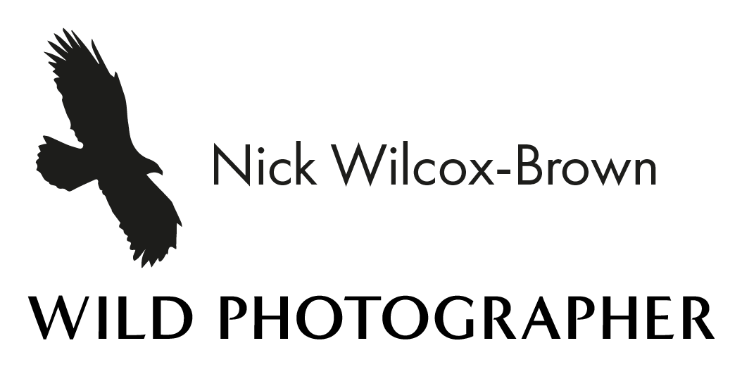 Swarovski Optik logo on a transparent background